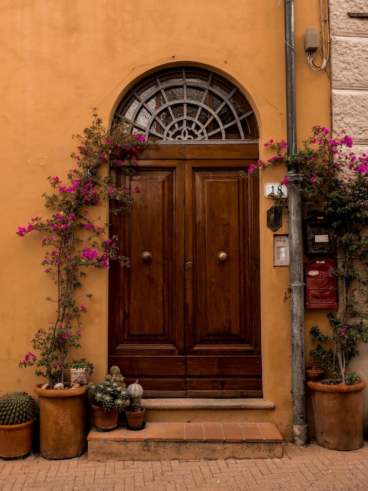 Italian Door With Cacti In Tuscany
