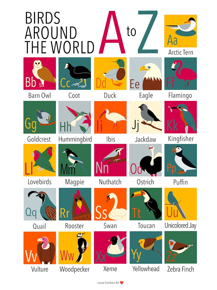 Birds Around The World A-Z Poster