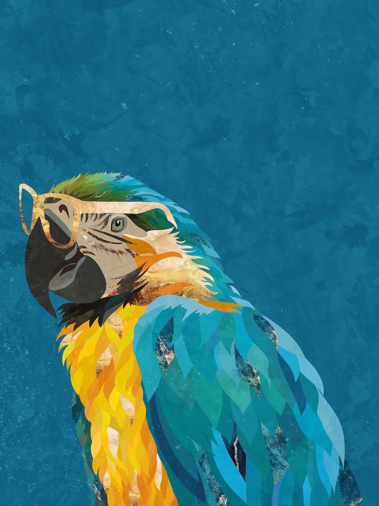 Turquoise Parrot