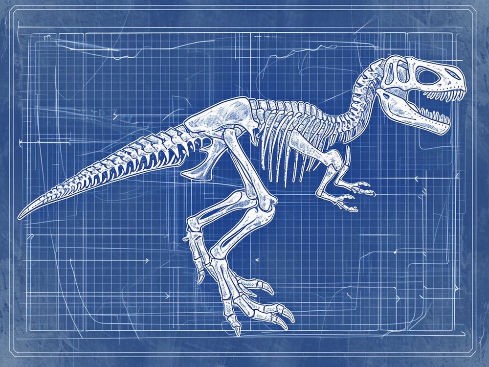 Microraptor Skeleton Hand Drawn Blueprint 3