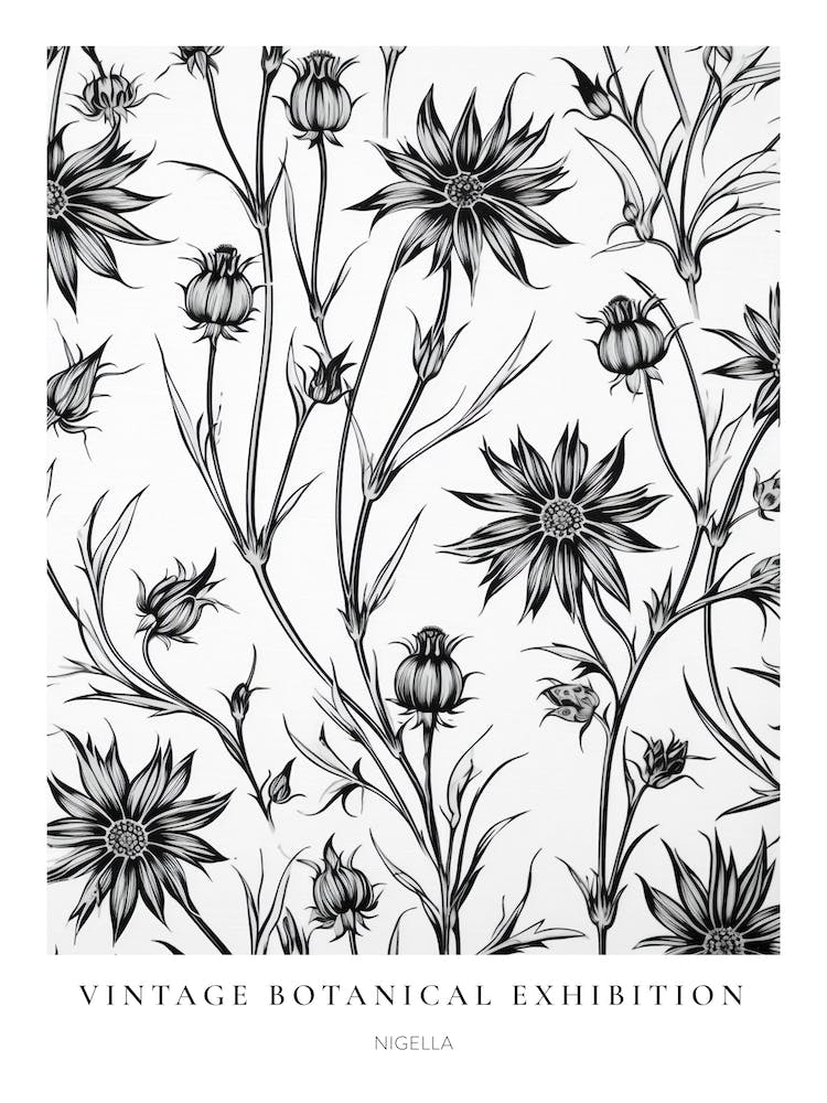 Nigella 2 B&W Vintage Botanical Poster