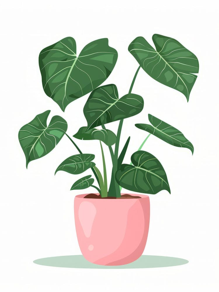 Plant In A Pot 34
