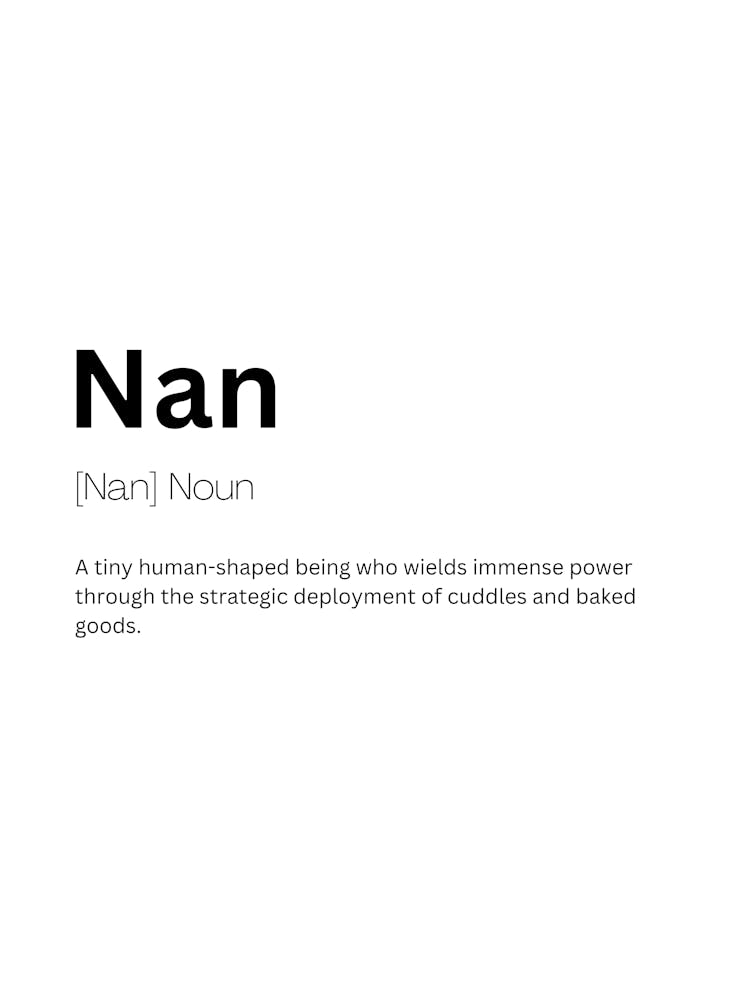 Nan Definition Meaning