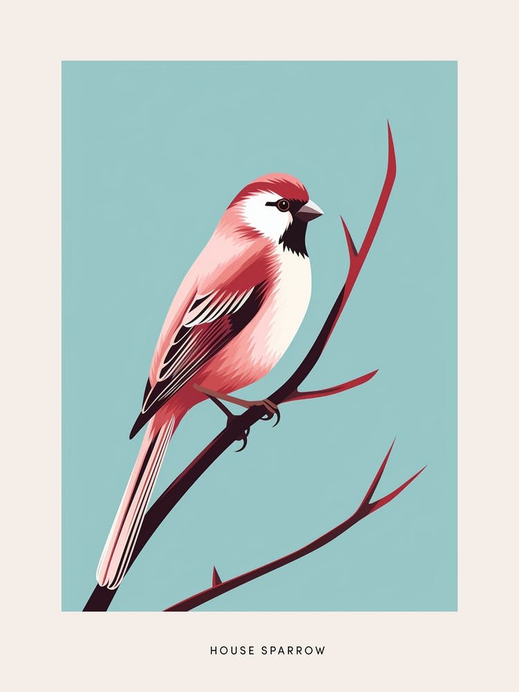 Minimalist House Sparrow 3 Bird Poster