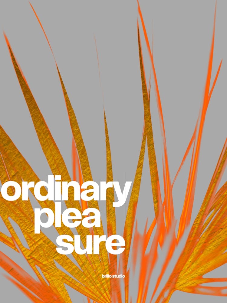 Ordinary Pleasure