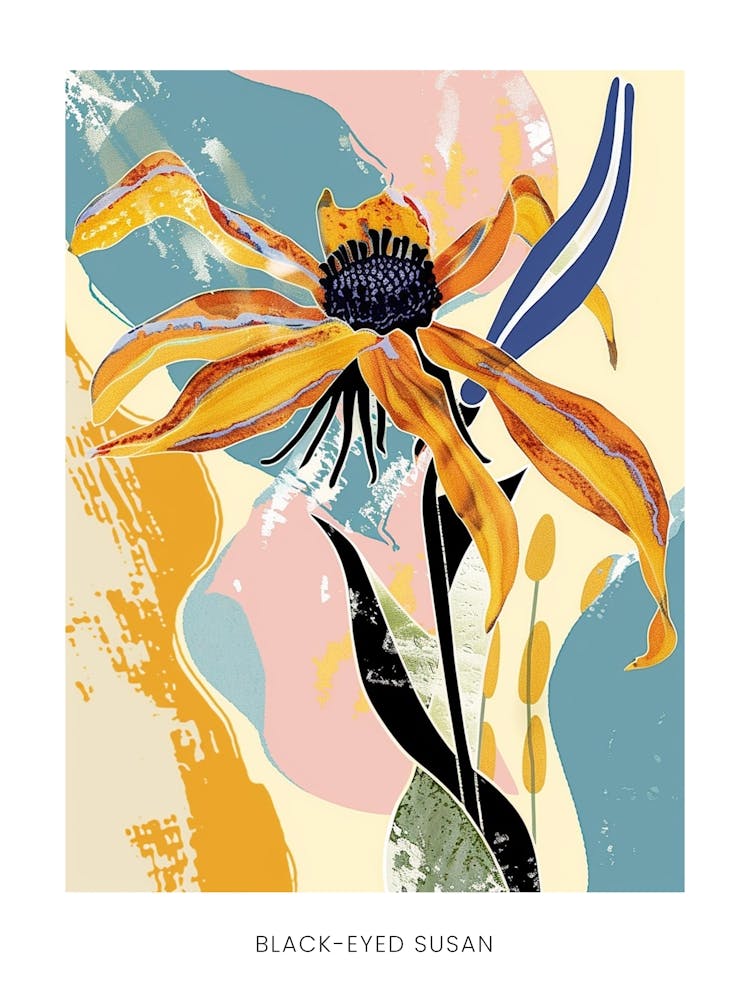 Colourful Flower Illustration Poster Black Eyed Susan 1
