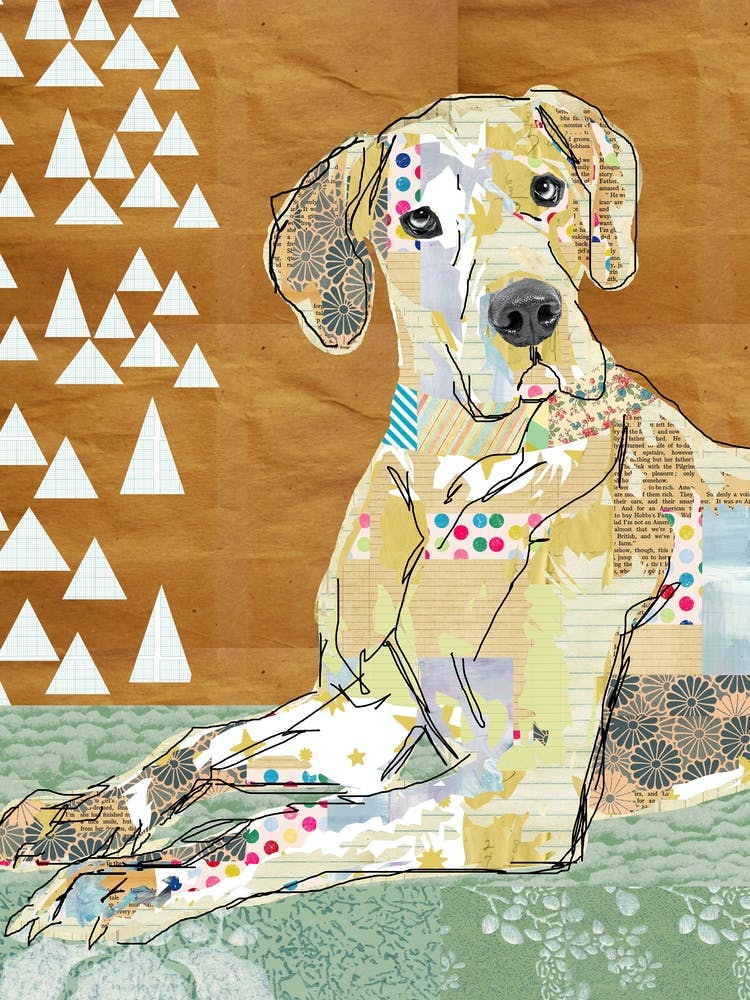 Great Dane Collage