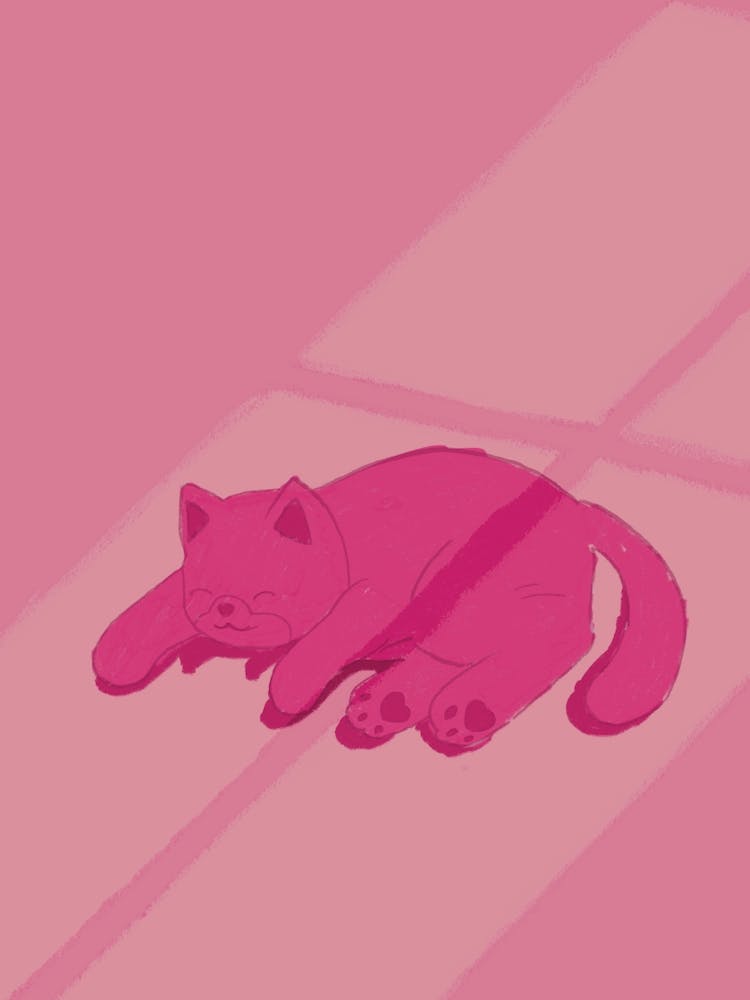 Sunspot Cat Pink