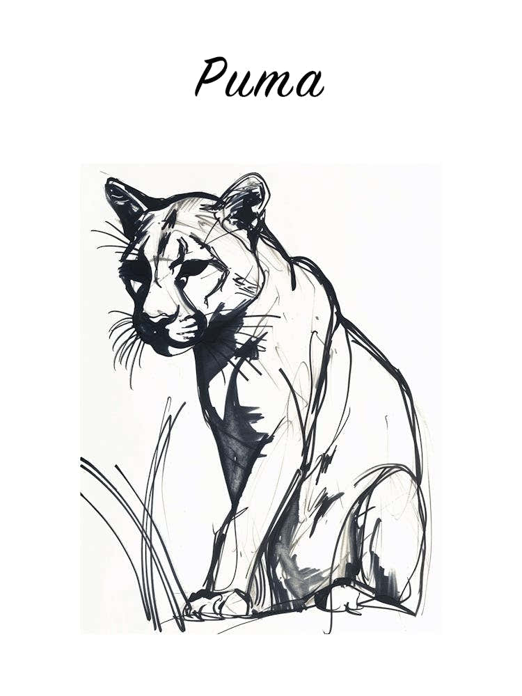 B&W Puma Poster