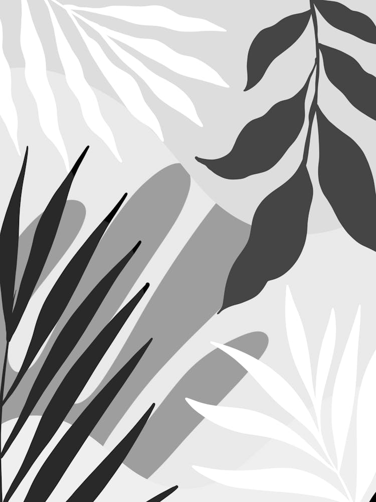 Abstract Black And White Painting 14
