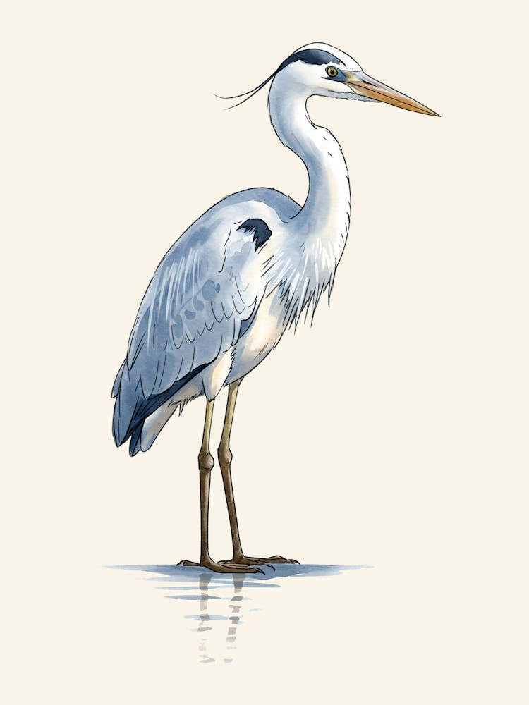 Vintage Lone Heron
