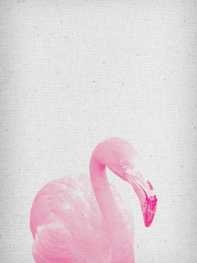Froilein Flamingo III