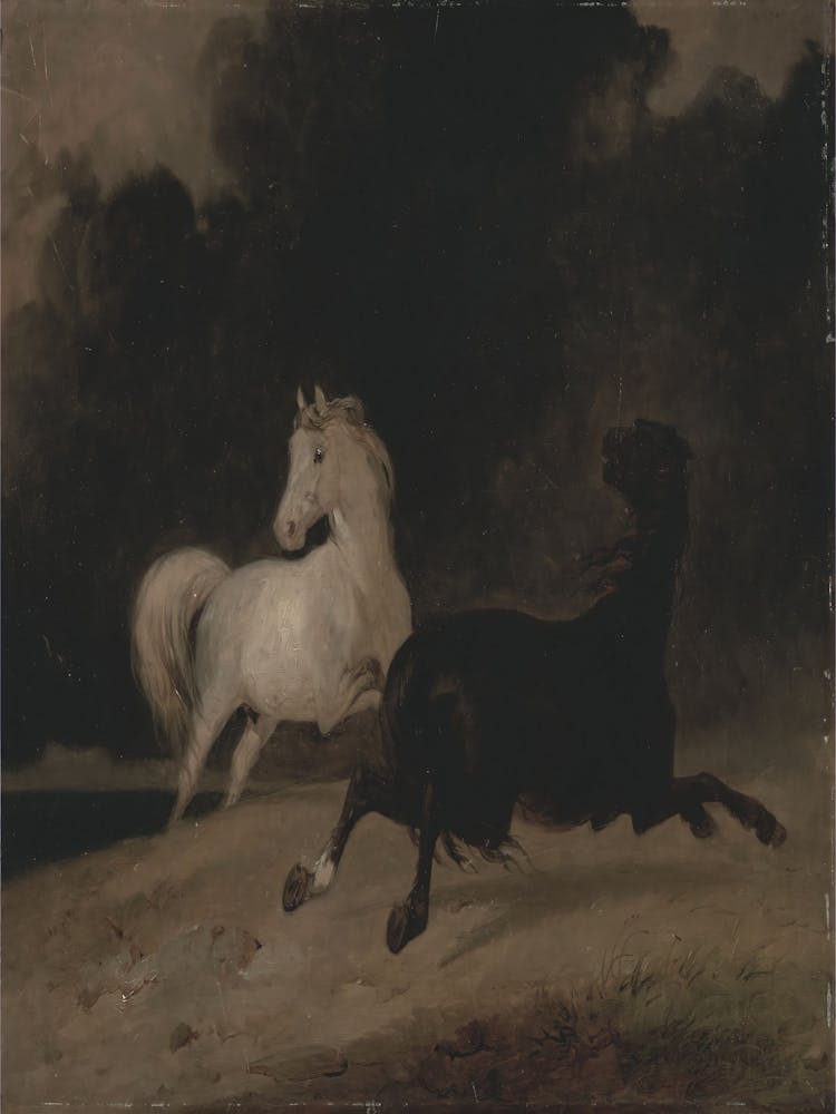 Two Horses Galloping
