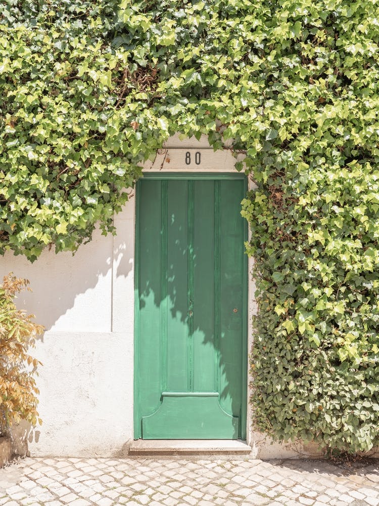 Botanical Entry In Cascais
