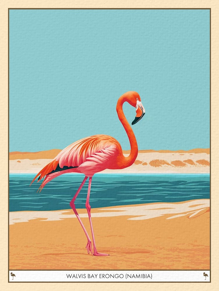 Greater Flamingo Walvis Bay Erongo Namibia Tropical Illustration 1 Poster