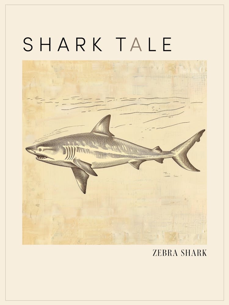 Zebra Shark Vintage Illustration 4 Poster