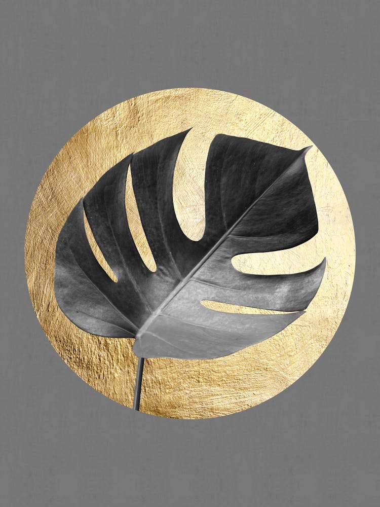 Botanical art 6