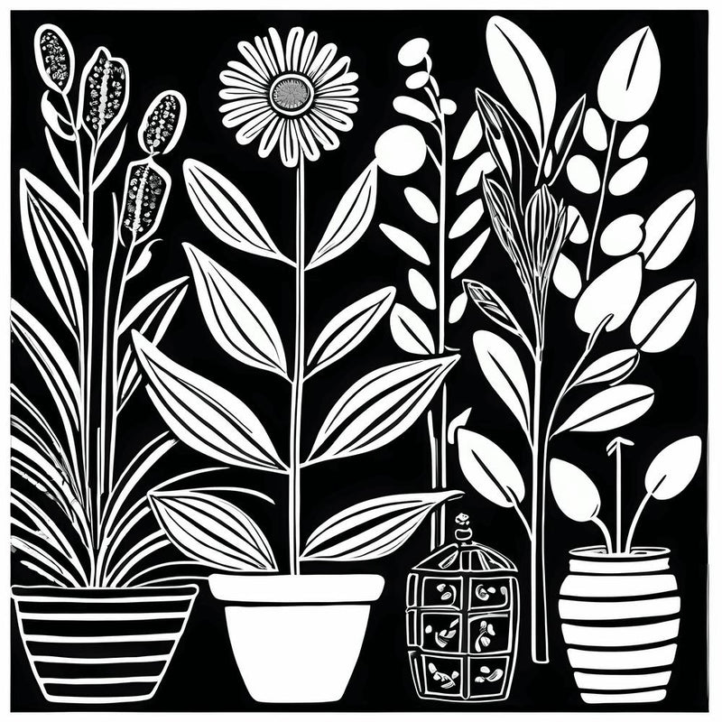 Lion cut inspired Black and white Garden plants & flowers art, Gardening art, Garden 211