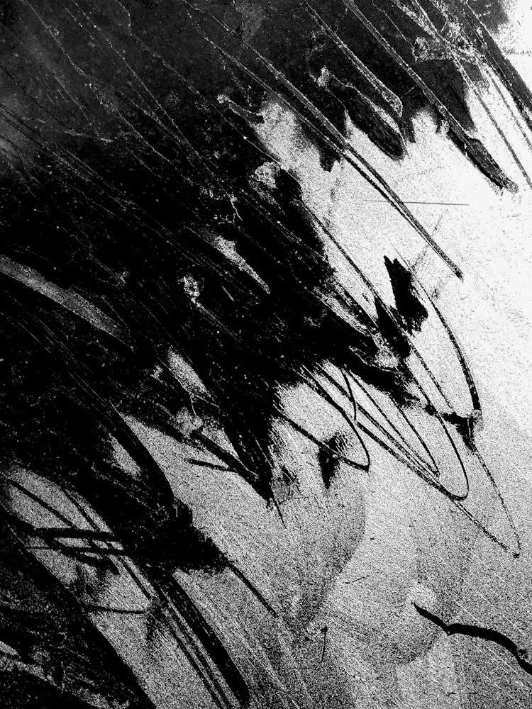 Abstract Black & White Paint Art