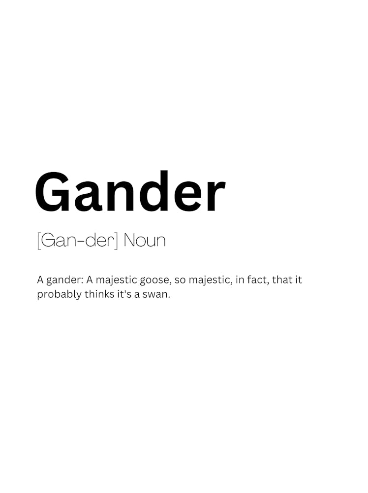 Gander Definition Meaning 1