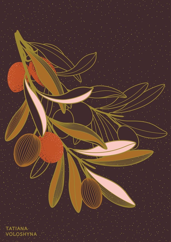 Olive Branch