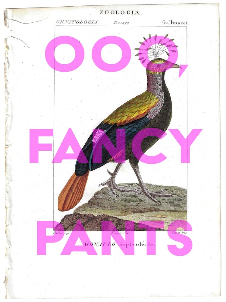 Oooo Fancy Pants Vintage Bird