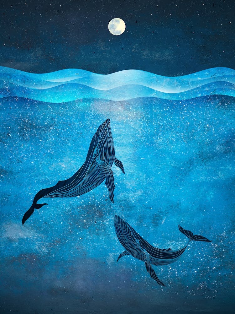 Whale Print, Whale Poster, Night Ocean, Blue Whales, Ocean Wall Art, Nautical Print, Sea Poster, Whales Swimming, Whale Illustration, Sea Print
