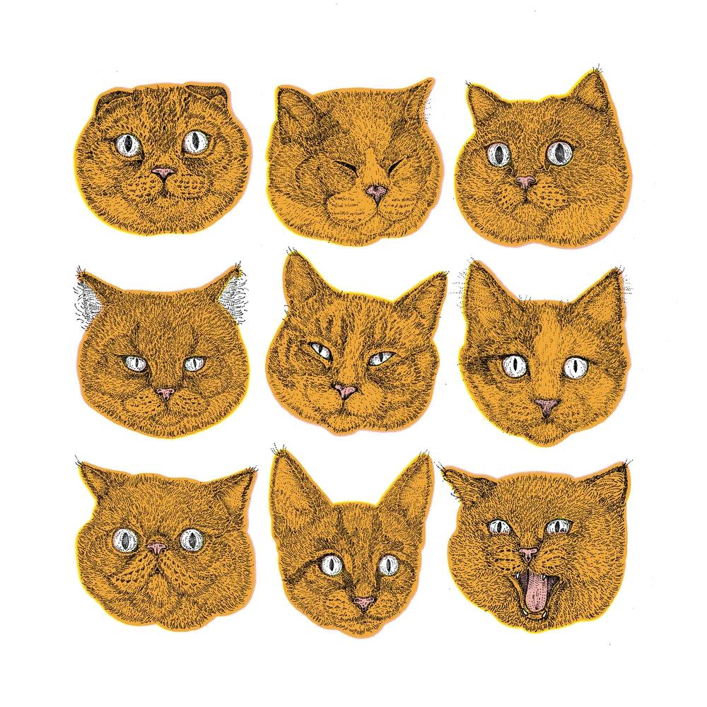 Orange Cat Faces Square
