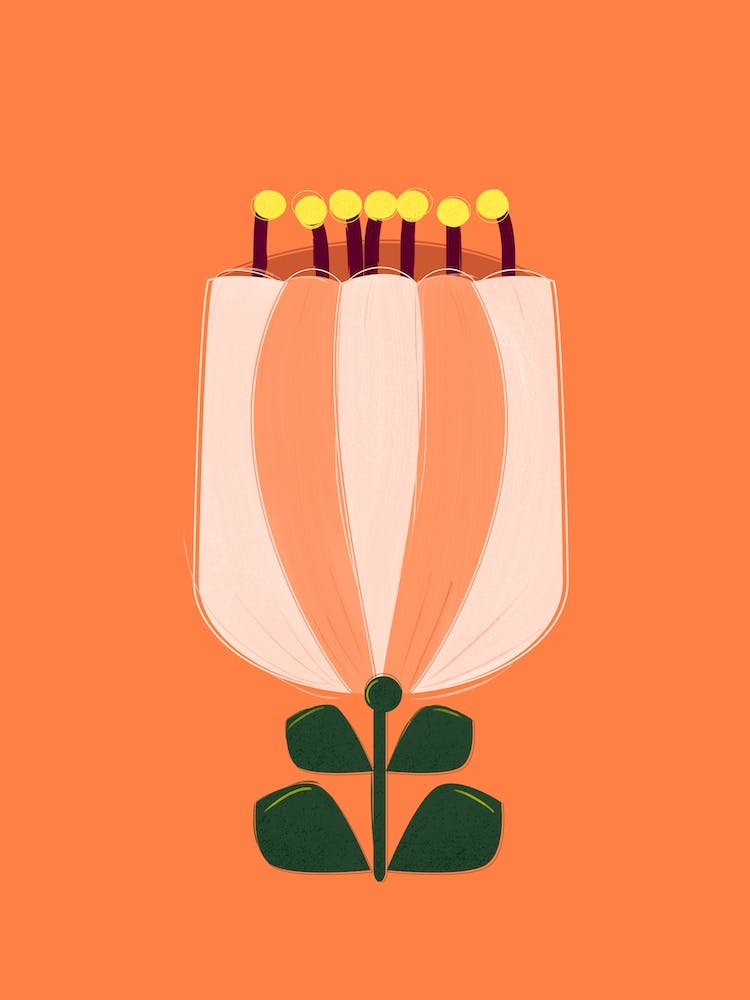 Single Minimal Tulip