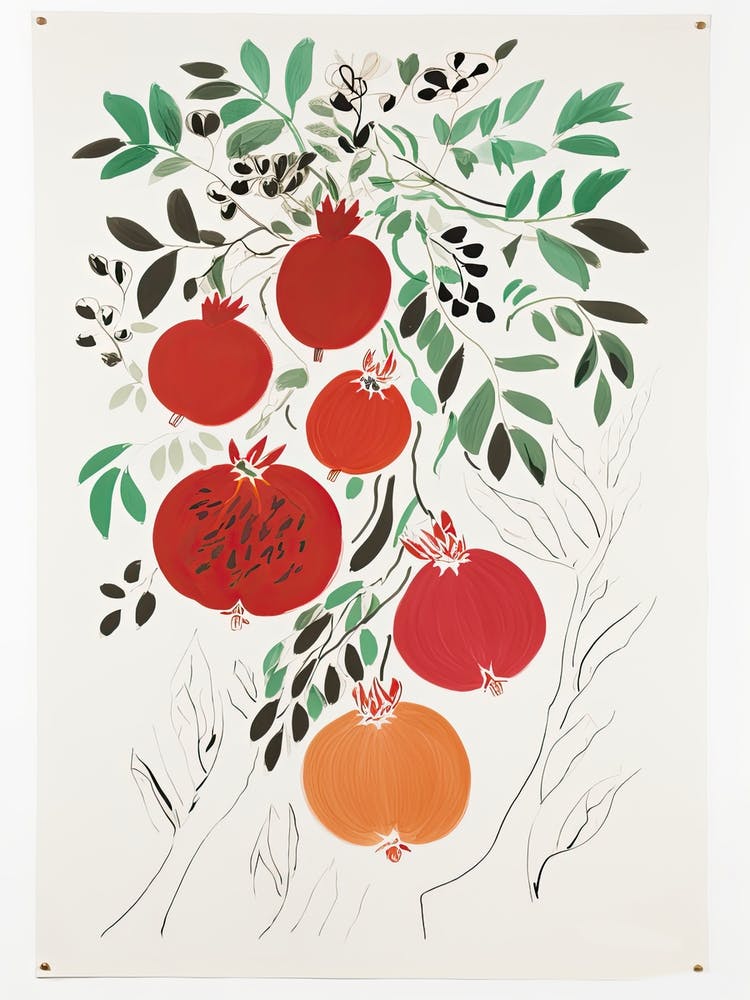 Pomegranate Fruit Drawing 2