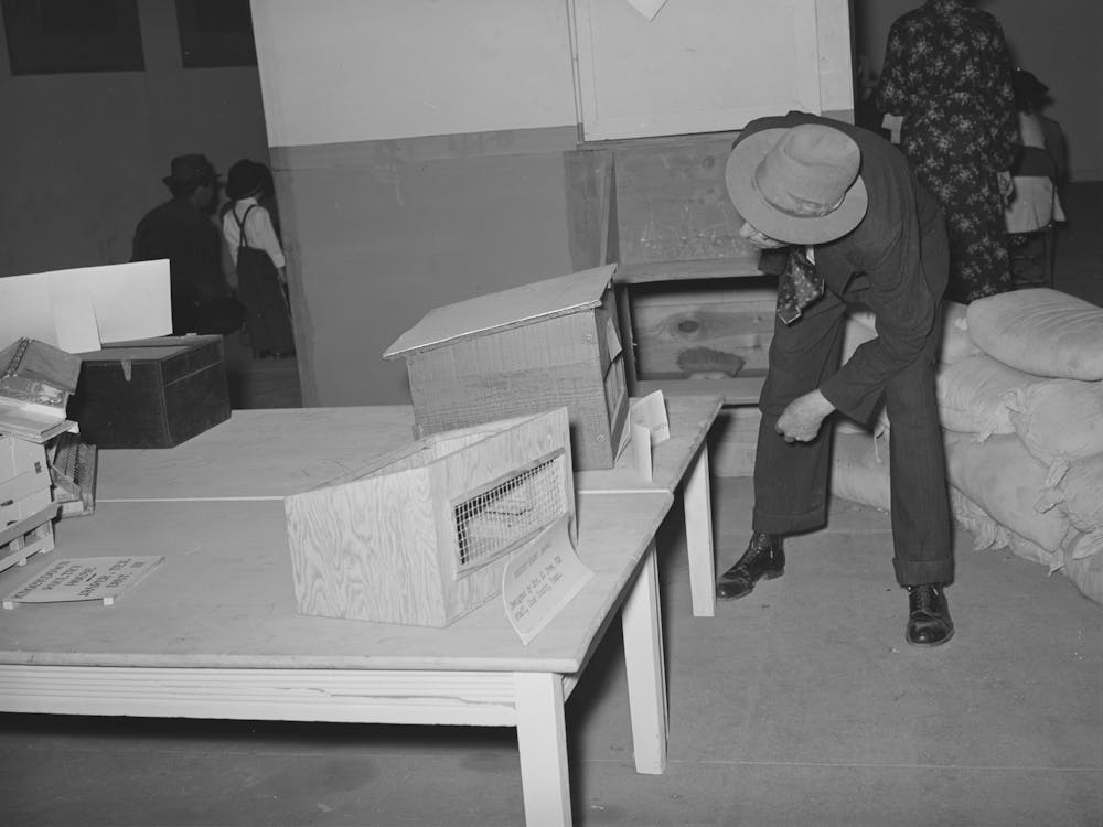 Fsa (Farm Security Administration) Exhibit At State Fair, Dallas, Texas By Russell Lee 1