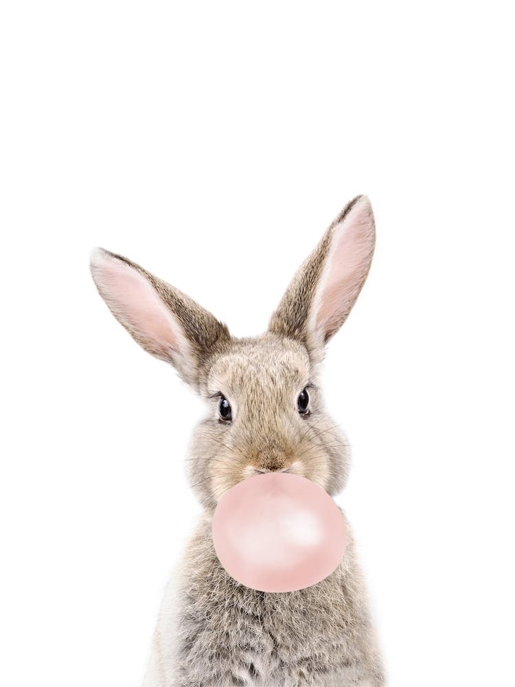 Bubble Gum Bunny