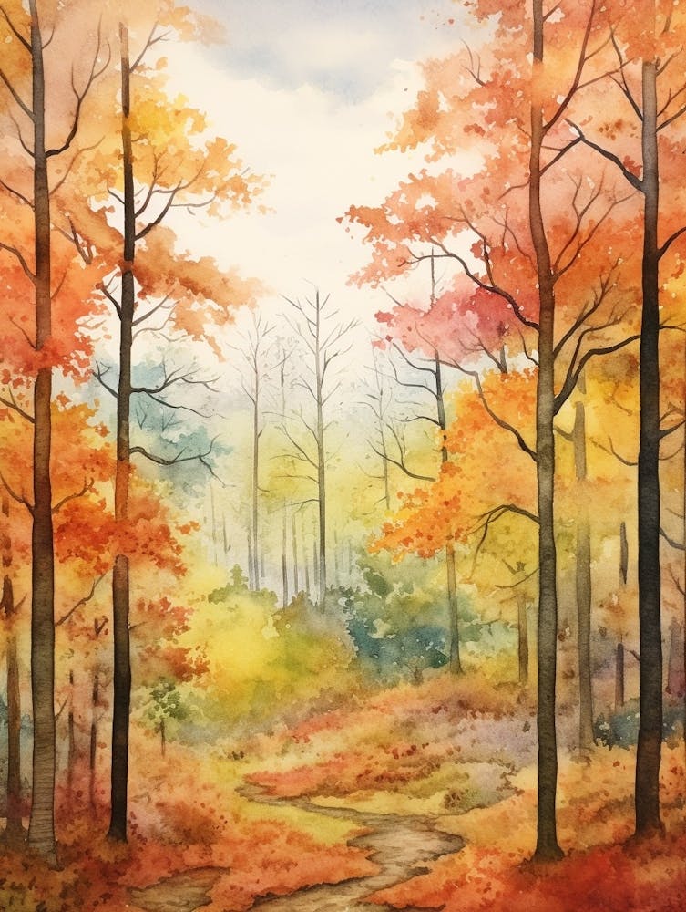 Autumn Forest Landscape The Shawnee National Forest 2