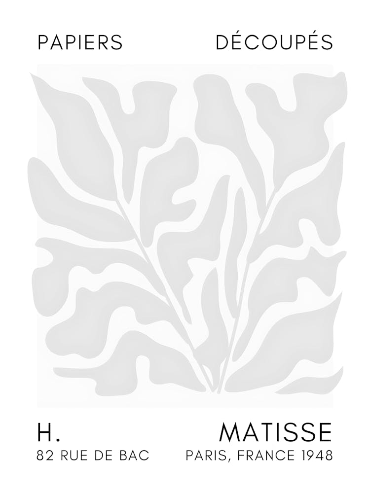 Matisse 40