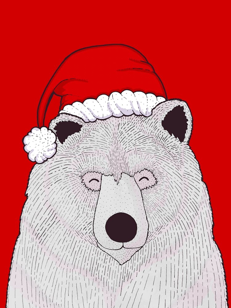 Santa Red Bear