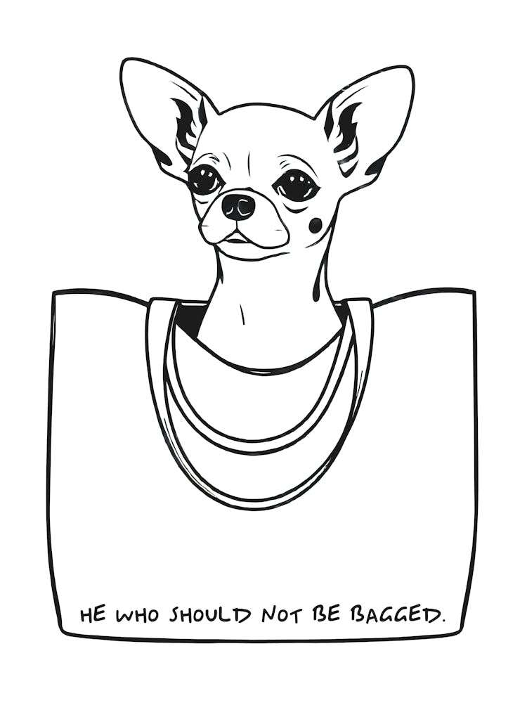 He Who Should Not Be Bagged