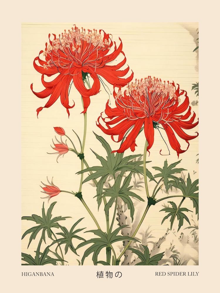 Higanbana Red Spider Poster