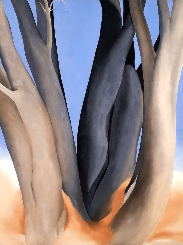 Georgia O Keeffe - Dark Tree Trunks