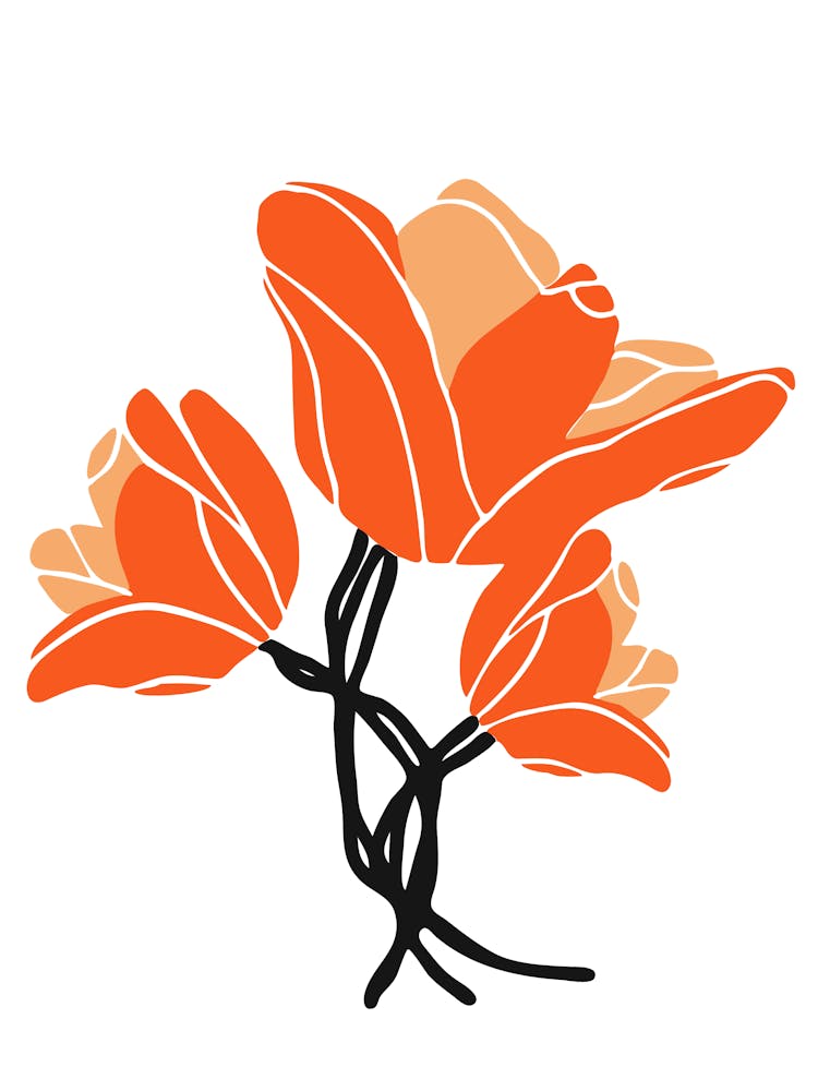 Orange Flowers