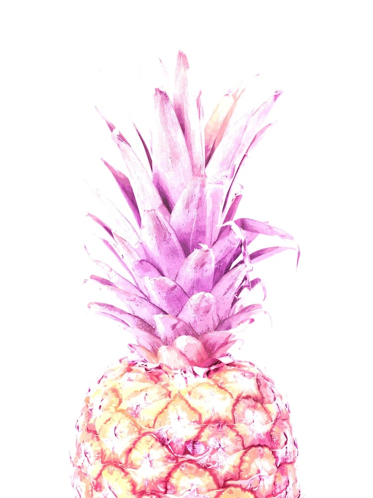 Violet Pineapple Tropical Fruit Watercolor