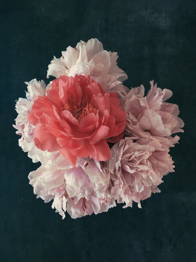 Floral Decorative Blossoms In A Bouquet Of Flowers