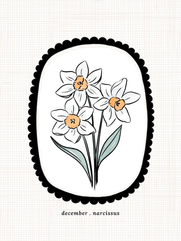 Narcisse de Décembre Fleur de Naissance