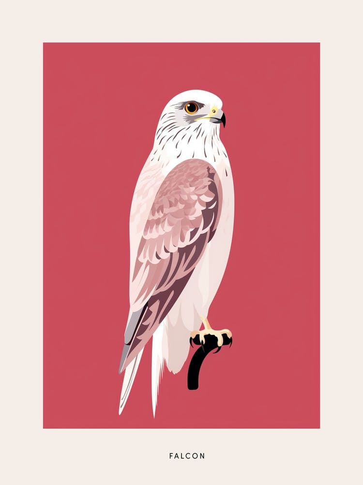 Minimalist Falcon 4 Bird Poster
