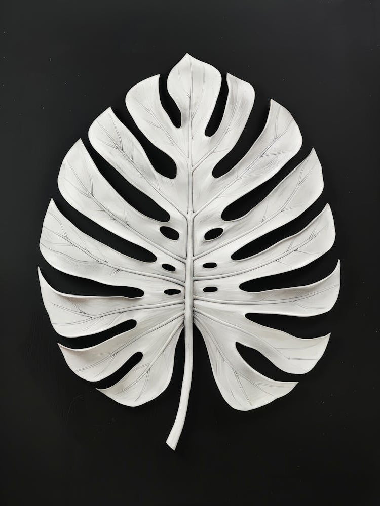 Monstera Leaf 6