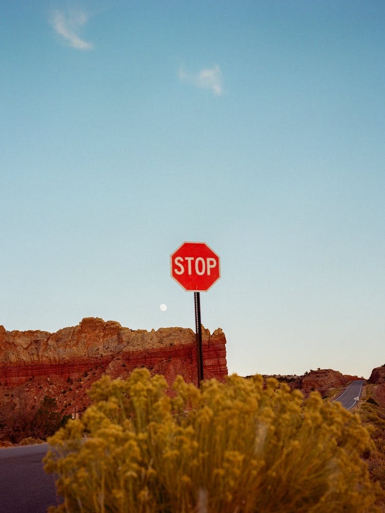New Mexico Road Trip on Film