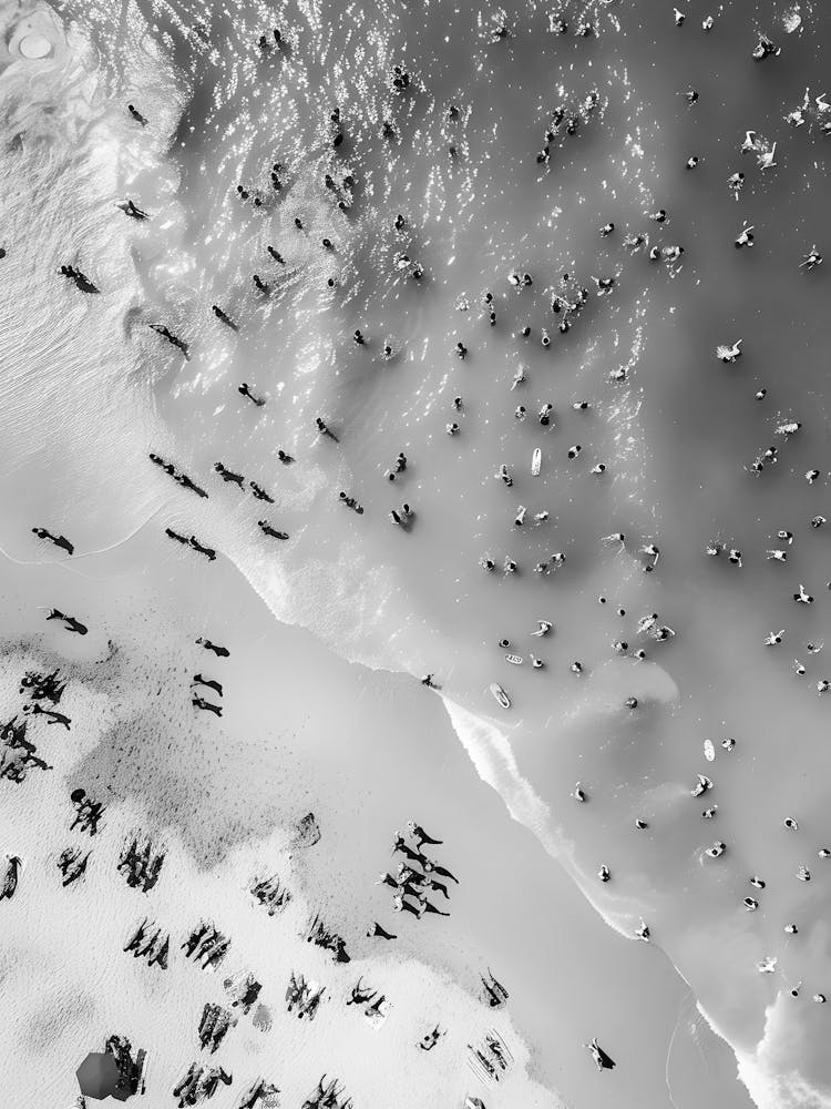 Penguins On The Beach