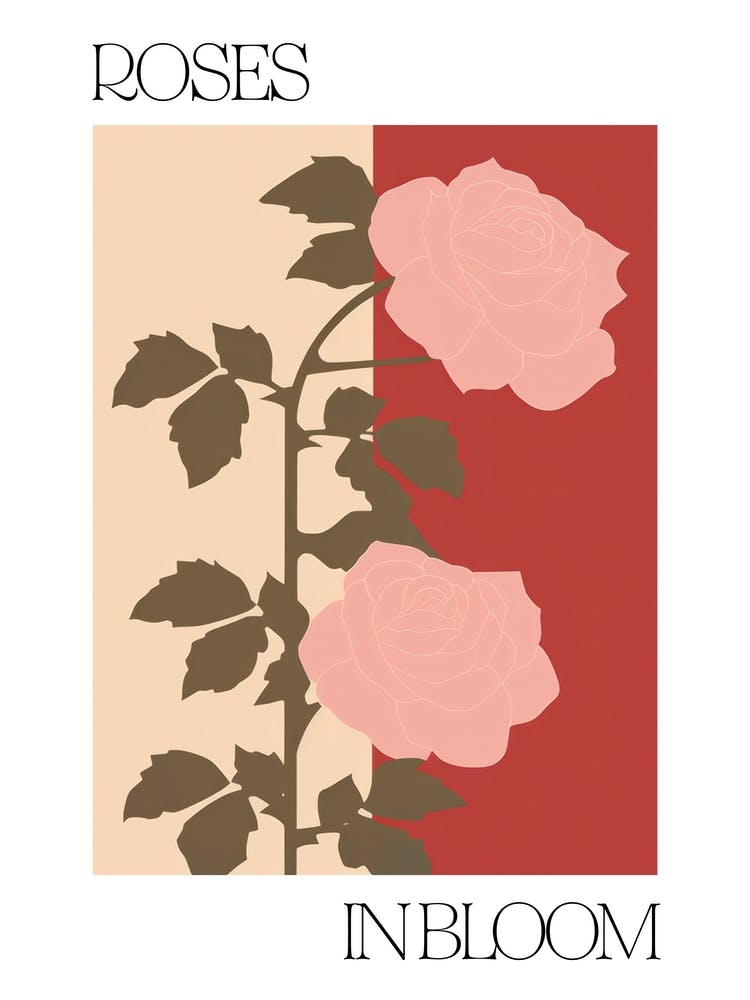 Roses In Bloom Flowers Bold Illustration 3