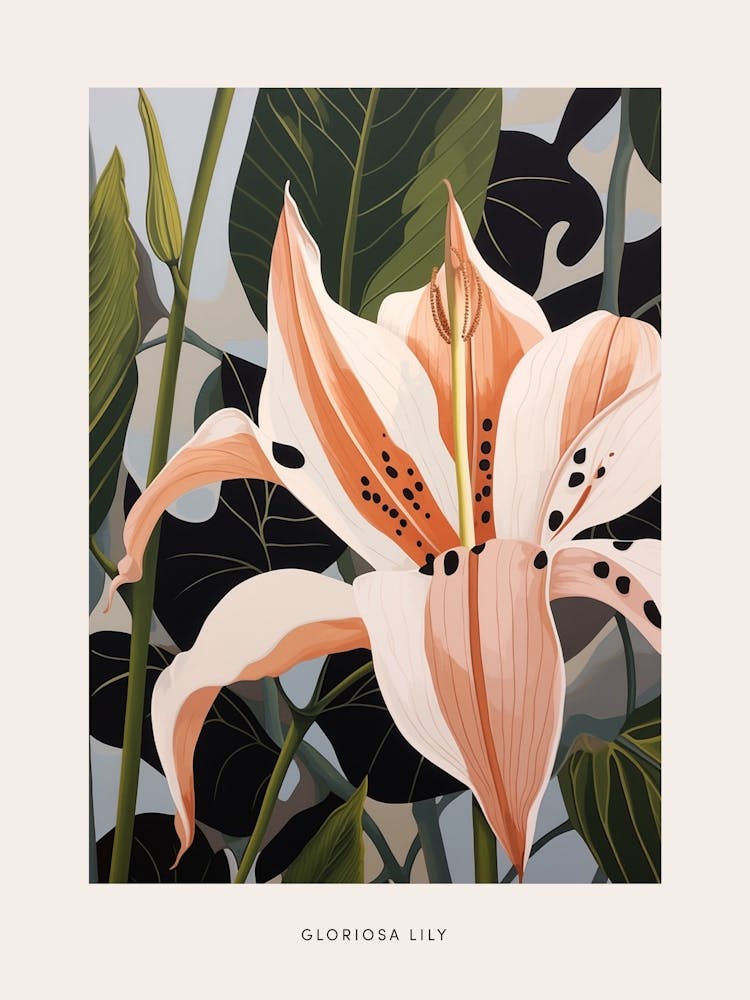 Illustration Fleur Lis Gloriosa 1 Affiche