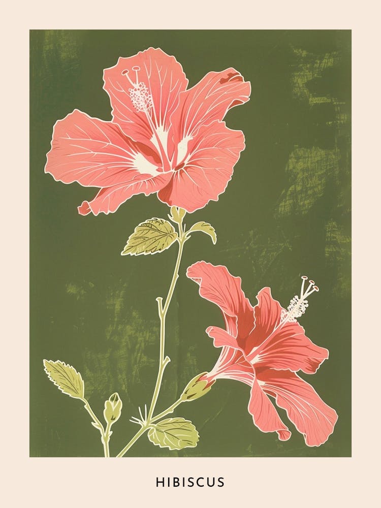 Pink & Green Hibiscus 3 Flower Poster