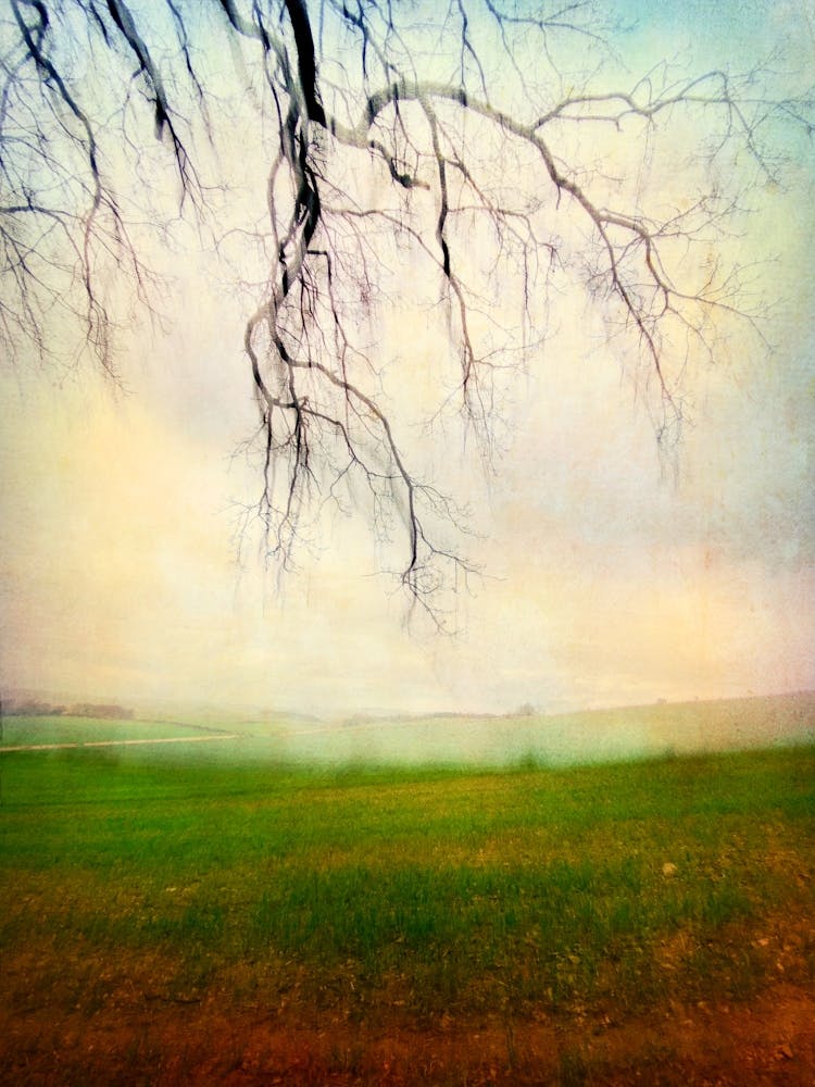 Flodden Field Northumberland